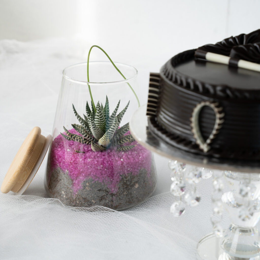 Combo Terrarium With Cake Flower delivery in Bangalore