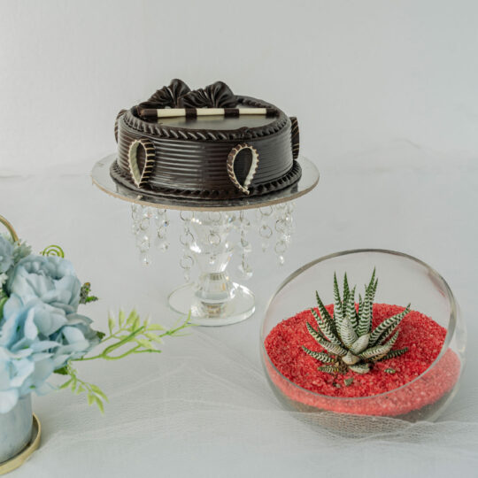 Cake Clear Cloche Bell Dome Jar Display Terrarium Glass | eBay