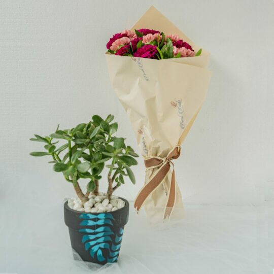 Canvas Fabric Planter Basket with Plastic Pot + Saucer | Black + White –  Good Company Wares