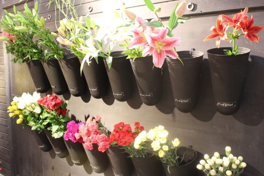 WhatsApp Image 2023-01-04 at 12.43.38 PM (1)