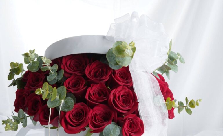 FreshKnots_ValentineBanner2