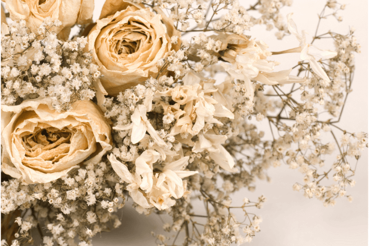 Shop – Soil + Soul Studio  Wedding bouquet preservation, How to preserve  flowers, Floral preservation