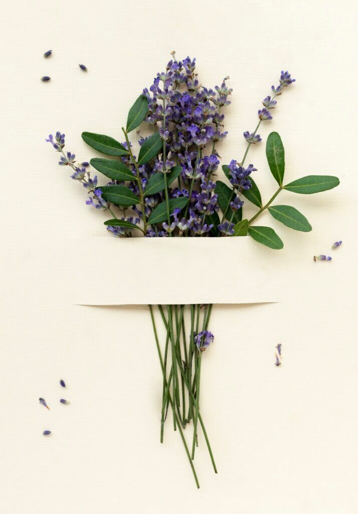 Anniversary Flowers_lavender_Freshknots