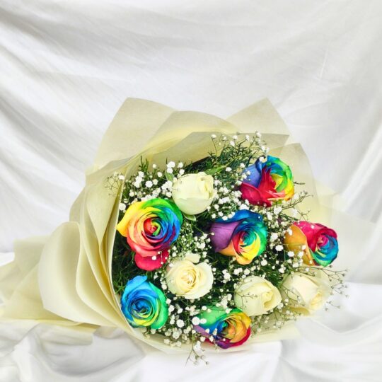 FK_RainbowRoses (4)