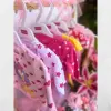 Gift for New Baby Arrival