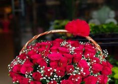 100 red rose basket