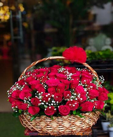 100 red rose basket