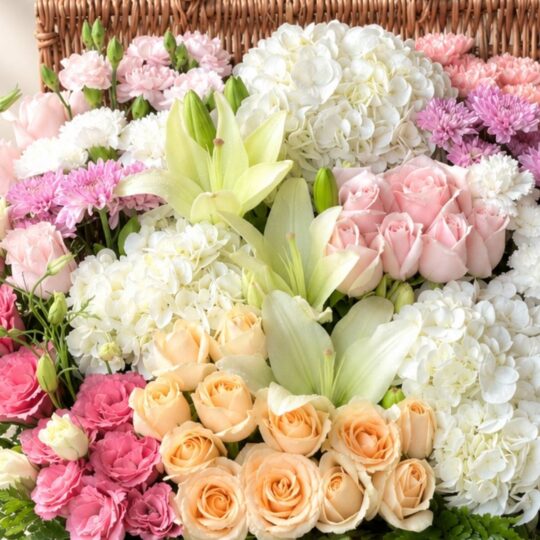 Close-up of Pastel Paradise basket, hydrangeas and roses Bangalore