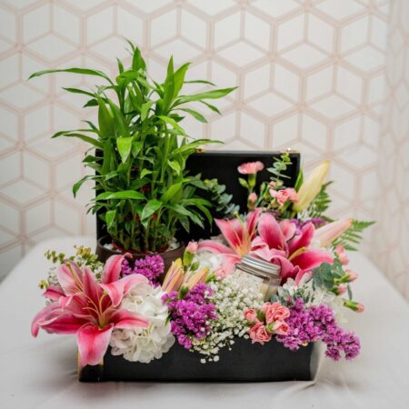 Hamper for Gifting