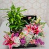 Hamper for Gifting