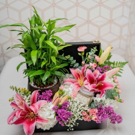 Hamper for Gifting