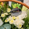 Gift Hampers