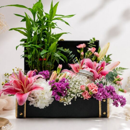 Nature's Embrace lucky bamboo plant, Bangalore gift delivery Title: Nature's Embrace Lucky Bamboo