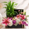 Nature's Embrace Rakhi hamper with lucky bamboo and flowers, Bangalore gift delivery