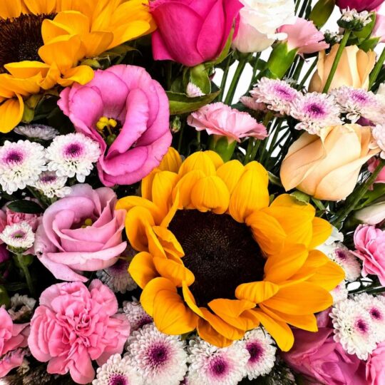 Close-up of sunflower and pink rose box arrangement in Bangalore