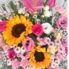 Box of Sunflower
