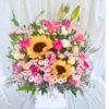 Box of Sunflower