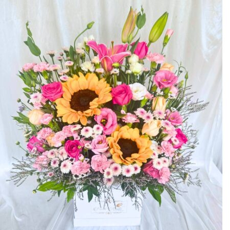Box of Sunflower