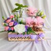 Dry Fruit Hamper