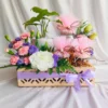Dry Fruit Hamper