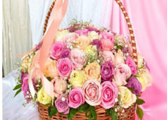 June Flowers in Bangalore