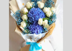 BlueHydBunch-540x540