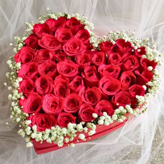 Heart-shaped red rose box with baby’s breath for romantic gifting - FreshKnots same-day flower delivery in Bangalore.