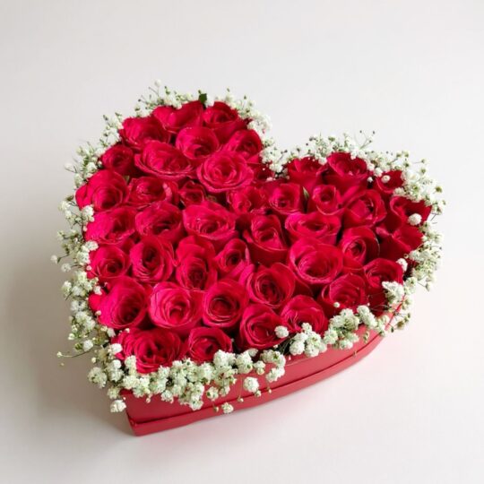 Heart-shaped red rose box with baby’s breath for romantic gifting - FreshKnots same-day flower delivery in Bangalore.