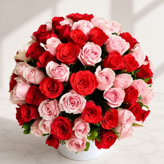 Box of 100 roses or same day delivery in Bangalore
