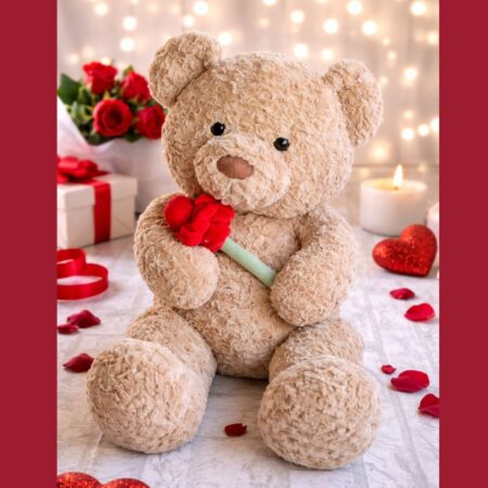 Valentine teddy with red rose for romantic gifting and Valentine delivery in Bangalore
