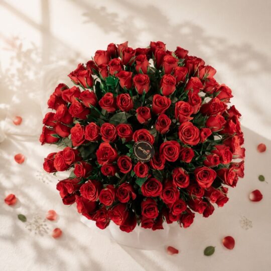 Enchanted Roses box of 100 red roses, Bangalore flower delivery