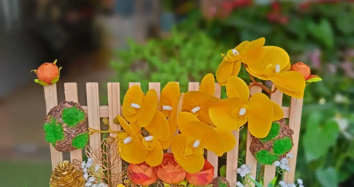 indoor hanging plants Bangalore
