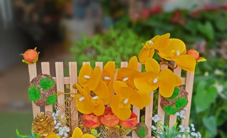 indoor hanging plants Bangalore