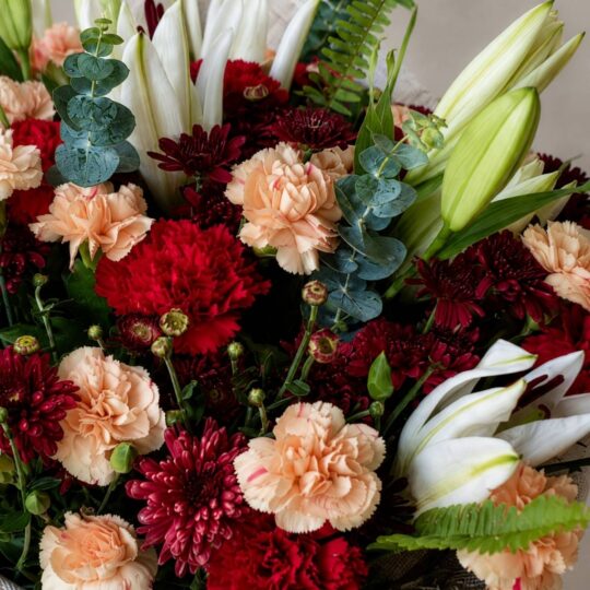 Close up of Chianti Muse burgundy carnations and white lilies, Bangalore flower delivery