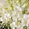 Close-up of white orchid petals and baby's breath, Bangalore bouquet