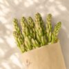 Tuberose stems flat lay, cut flower bunch Bangalore