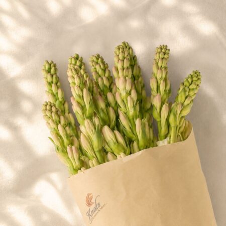 Tuberose stems flat lay, cut flower bunch Bangalore