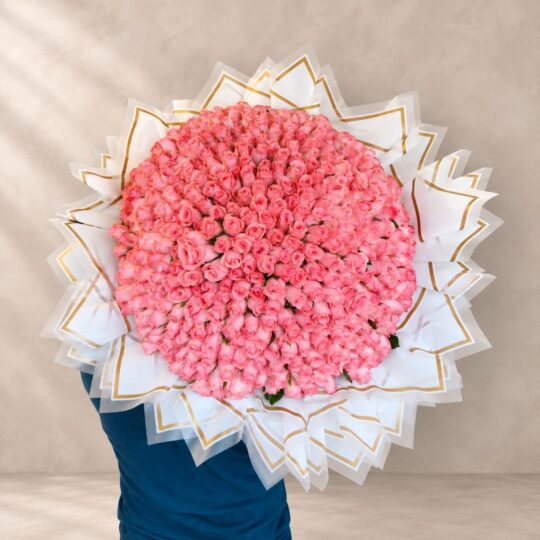 500 Reasons rose bouquet held, back view Bangalore