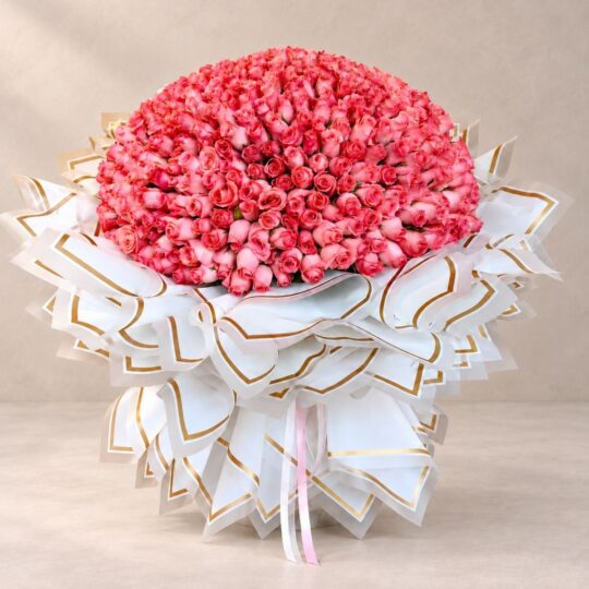 500 Reasons baby pink rose bouquet, Bangalore anniversary gift