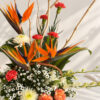 Bird of paradise blooms with red carnations and white chrysanthemum, close-up