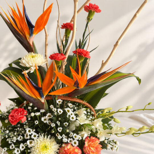 Bird of paradise blooms with red carnations and white chrysanthemum, close-up