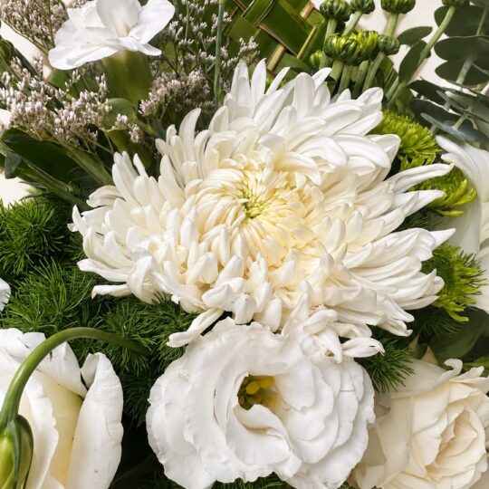 White disbud chrysanthemum with eustoma and spray carnations, close-up