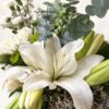 Fragrant white oriental lily with buds and eucalyptus, close-up