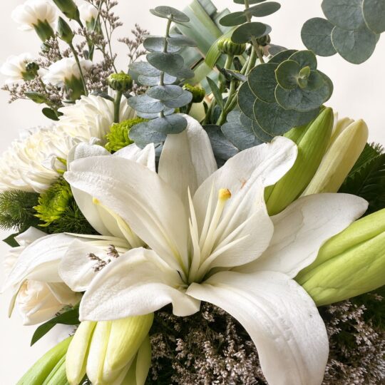 Fragrant white oriental lily with buds and eucalyptus, close-up