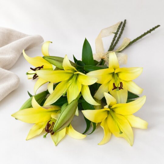 Fragrant yellow oriental lilies with open flowers, buds and green leaves on long stems