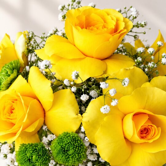 Yellow roses with green button chrysanthemums and baby's breath, close-up